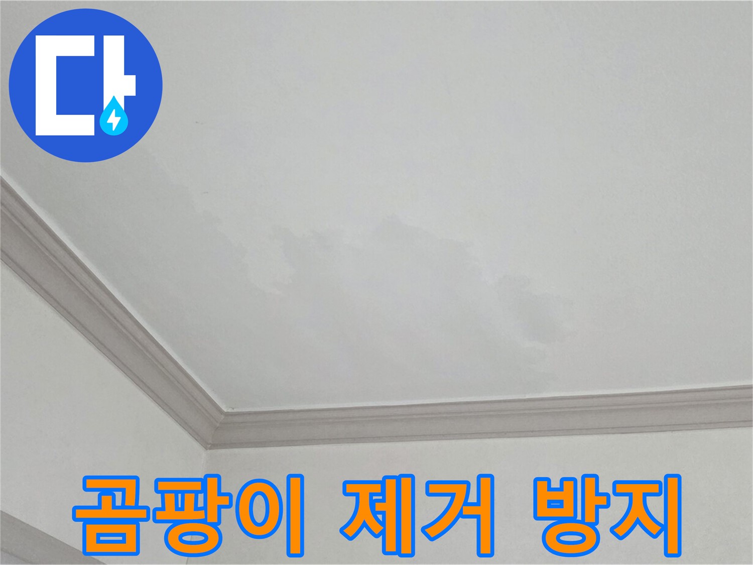 논현주공1단지 아파트 누수 - 곰팡이 제거 및 재발 방지 시공