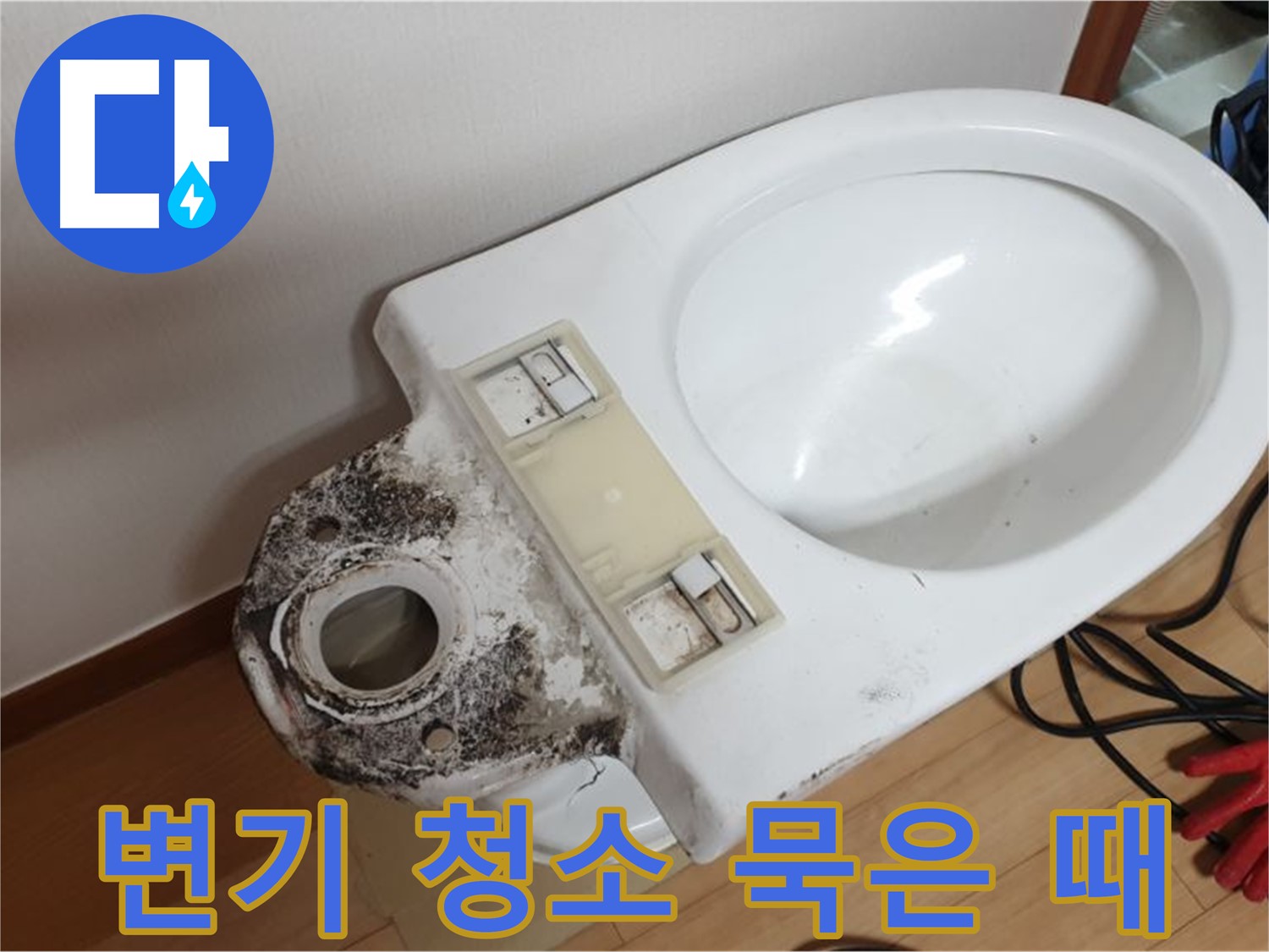 변기 청소 전문 - 꼼꼼한 손길로 묵은 때까지 제거