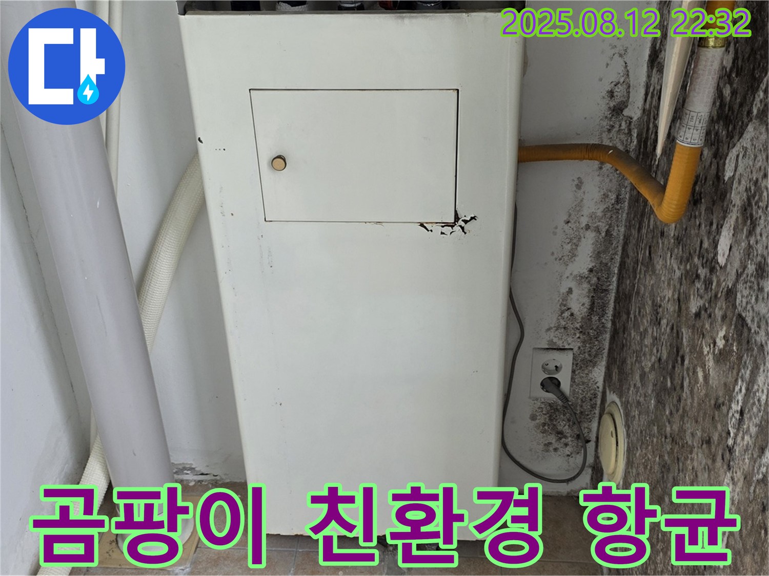 곰팡이 벽 - 누수탐지 후 곰팡이 제거 및 친환경 항균 시공으로 안심!