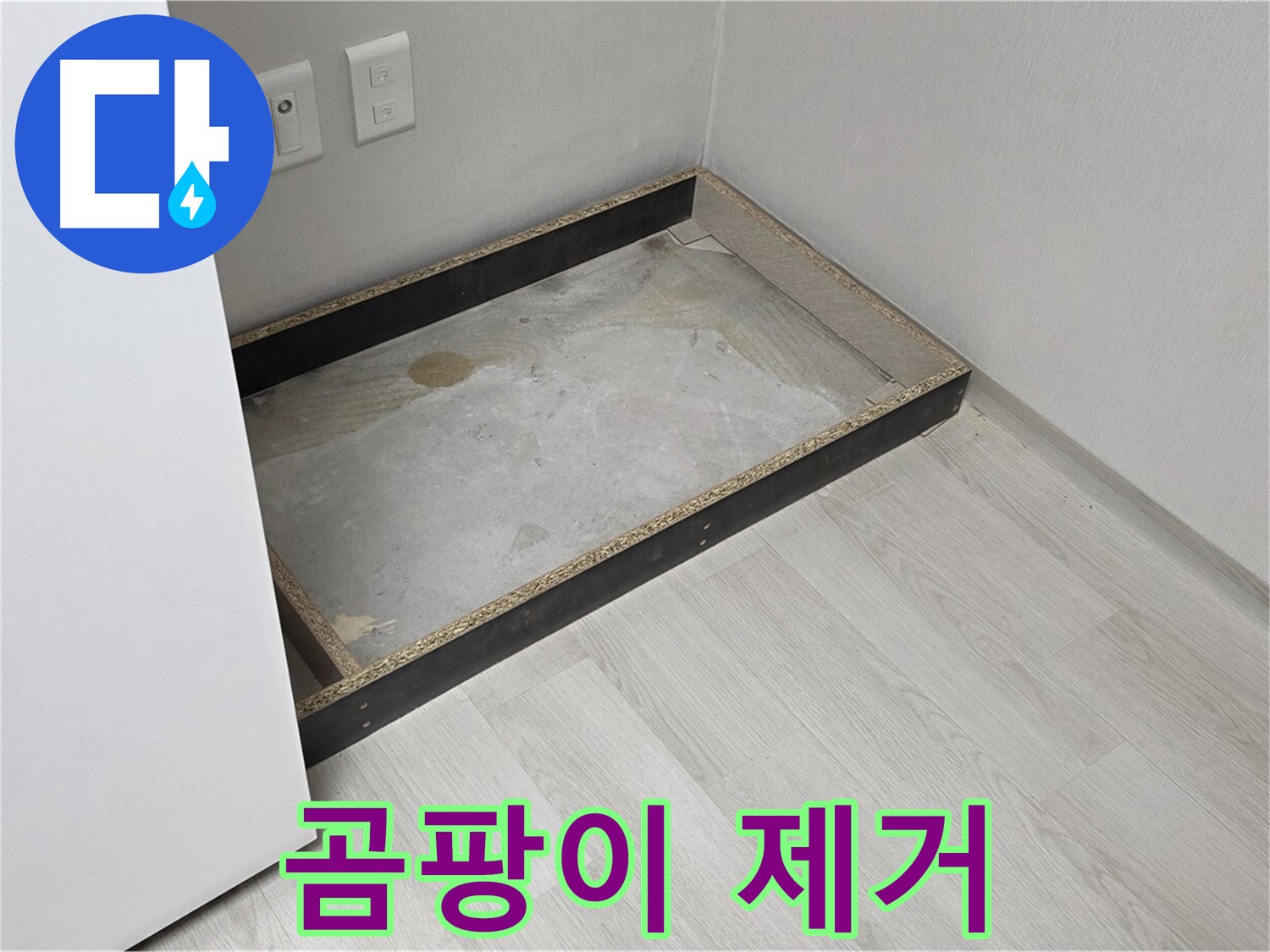 곰팡이 제거 - 건강 되찾기