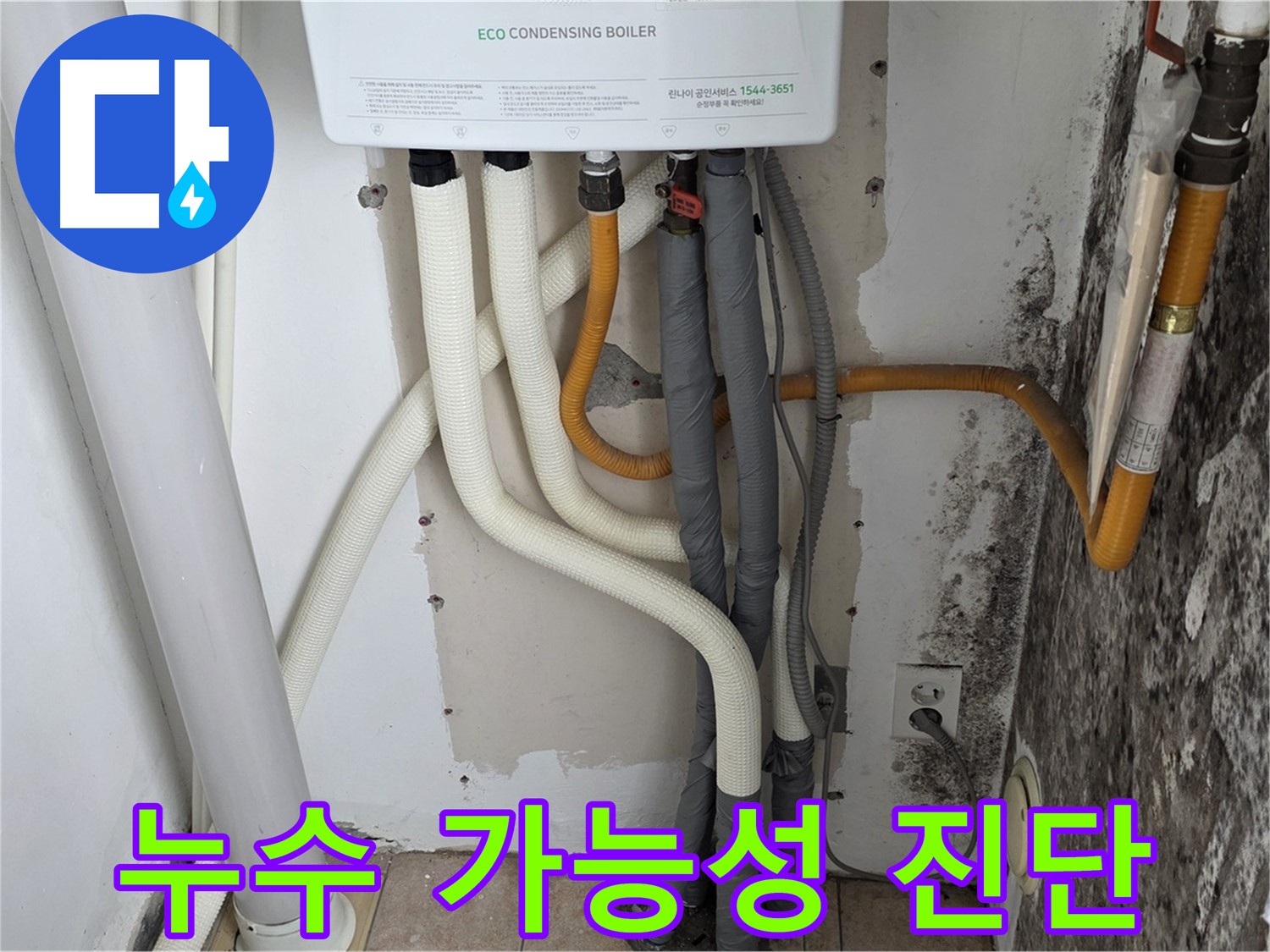 길음동 아파트 누수 - 곰팡이 심한 벽, 보일러 배관 연결부 누수 가능성 진단 중
