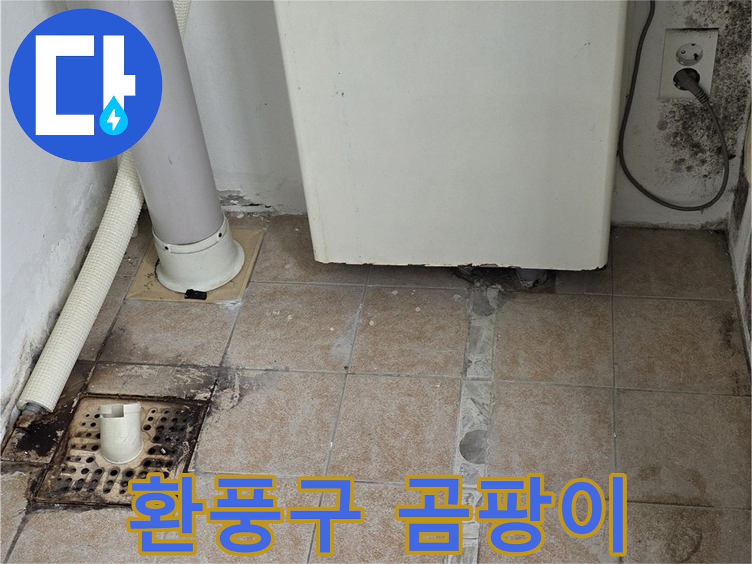 낡은 욕실 환풍구 주변 곰팡이 - 누수 해결