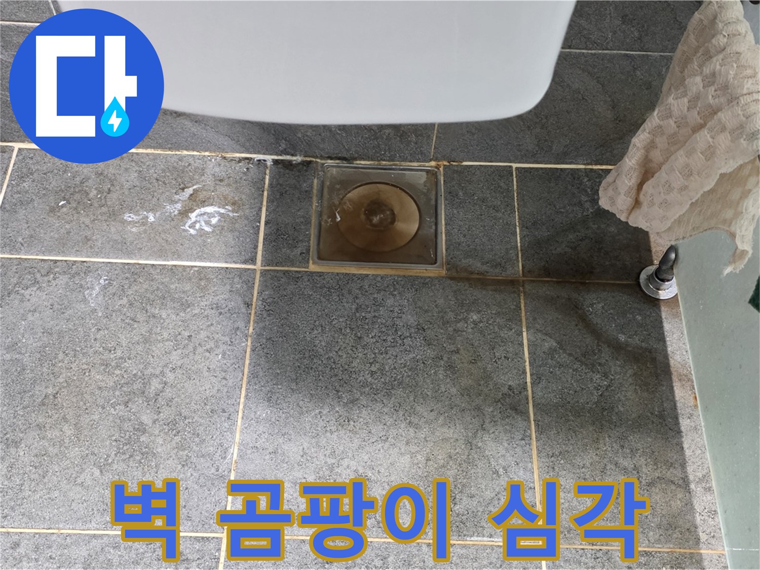 벽에 곰팡이 심각 - 숨겨진 누수 탐지 - 확실 해결