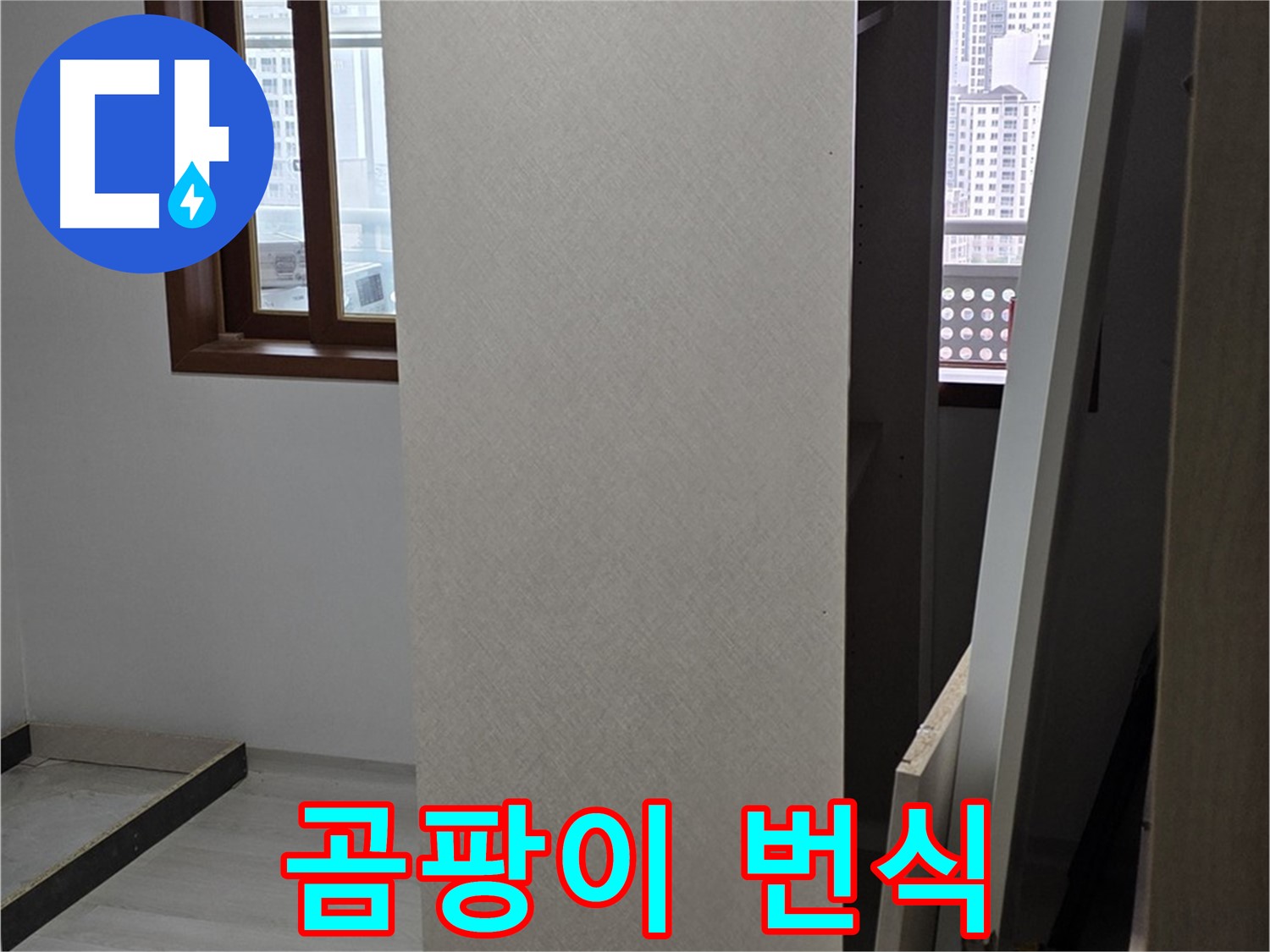 상부장 뒤 - 곰팡이 번식, 건강 위협