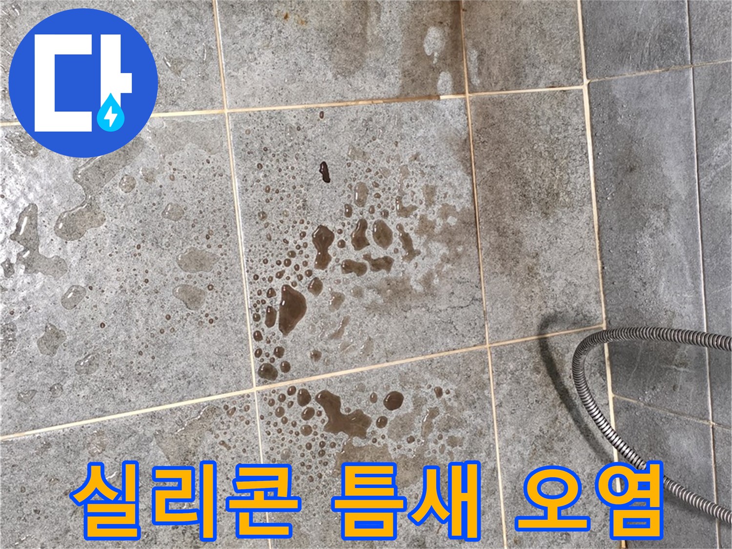 샤워부스 벽면 실리콘 들뜸 - 틈새 오염 확인