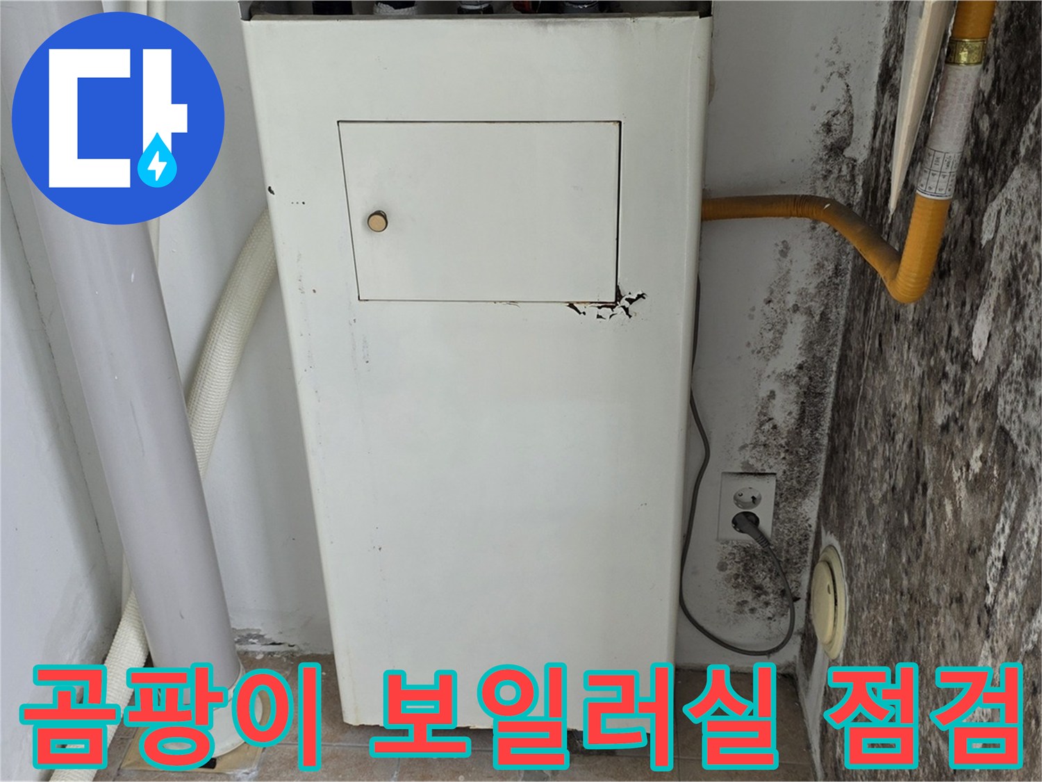 성북구 길음1동 숭인로 - 곰팡이 가득한 보일러실 점검 - 누수 전문가의 꼼꼼한 진단