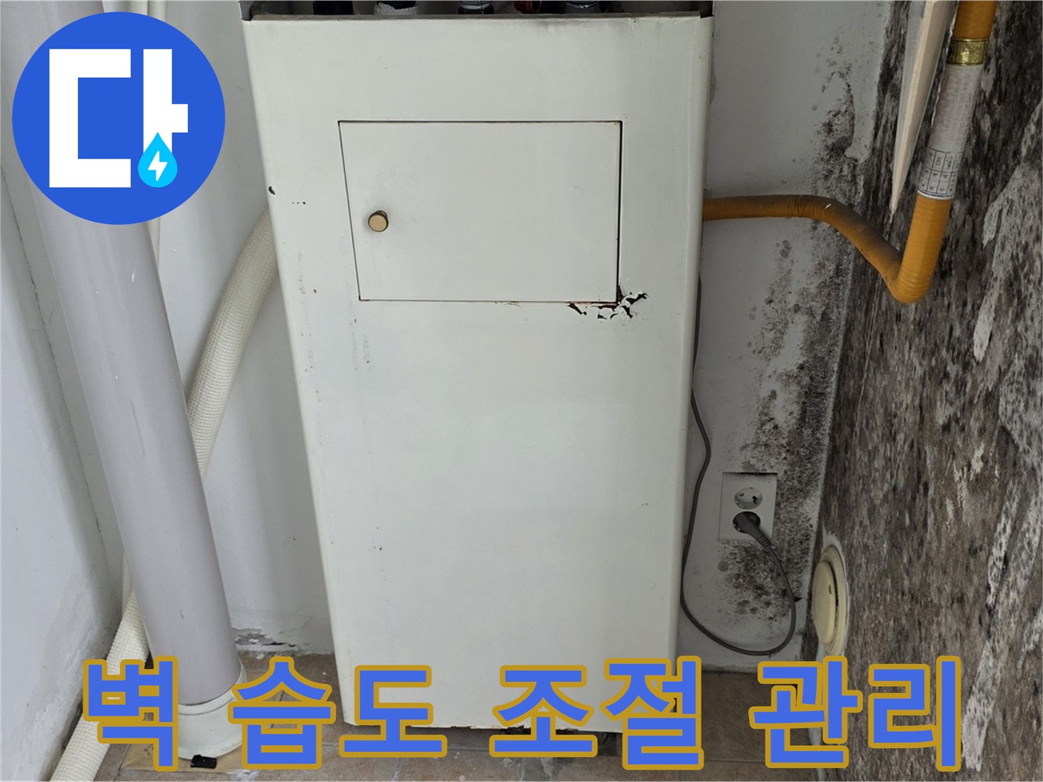 성북구 길음동 숭인로 - 곰팡이 핀 벽 습도 조절 및 관리 - 누수 전문가의 전문적인 관리