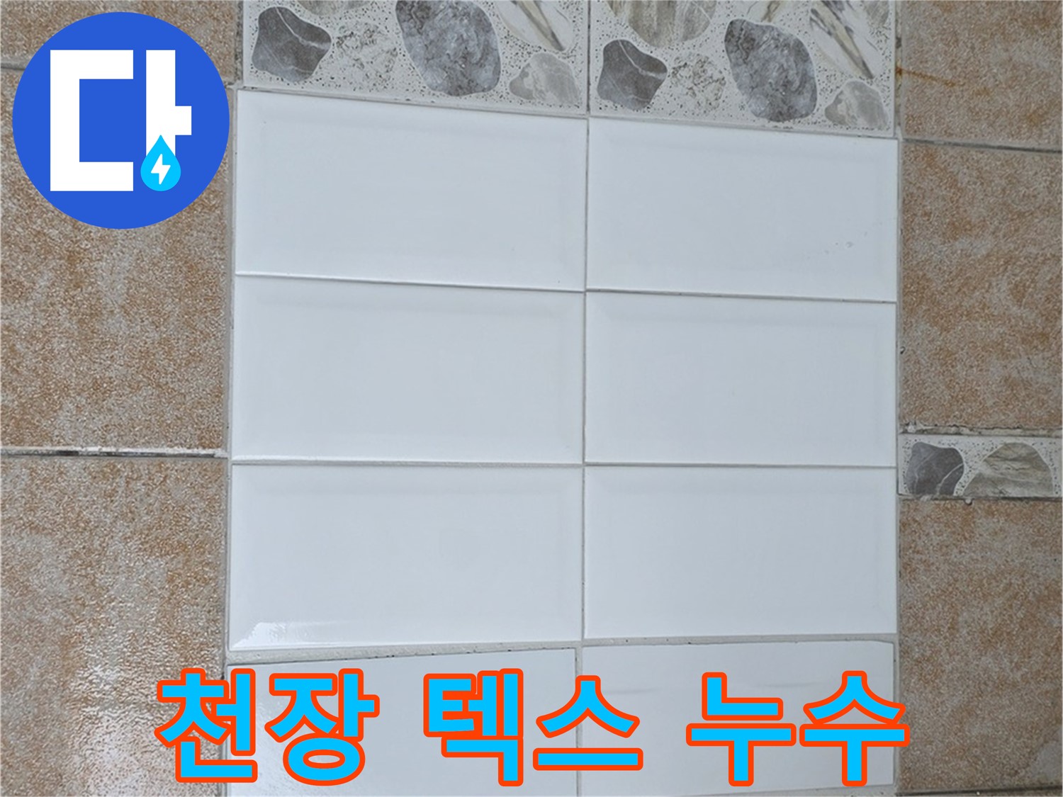 성북구 길음동 화장실 천장 텍스 누수 - 윗집 배관 문제 확인