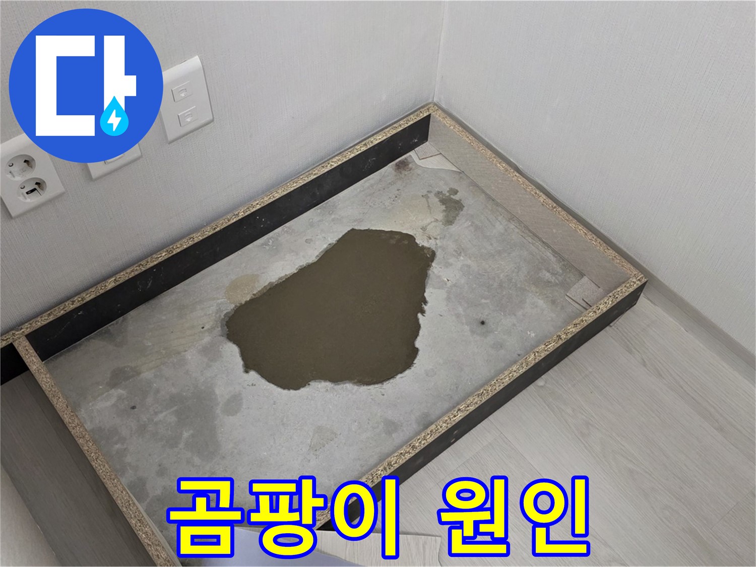 길음1동 숭인로 누수 - 곰팡이 발생, 누수 원인 파악에 집중