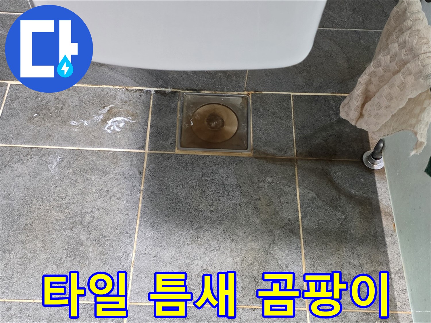 화장실 타일 틈새 오염 - 곰팡이와 누수의 합작 - 철저한 점검