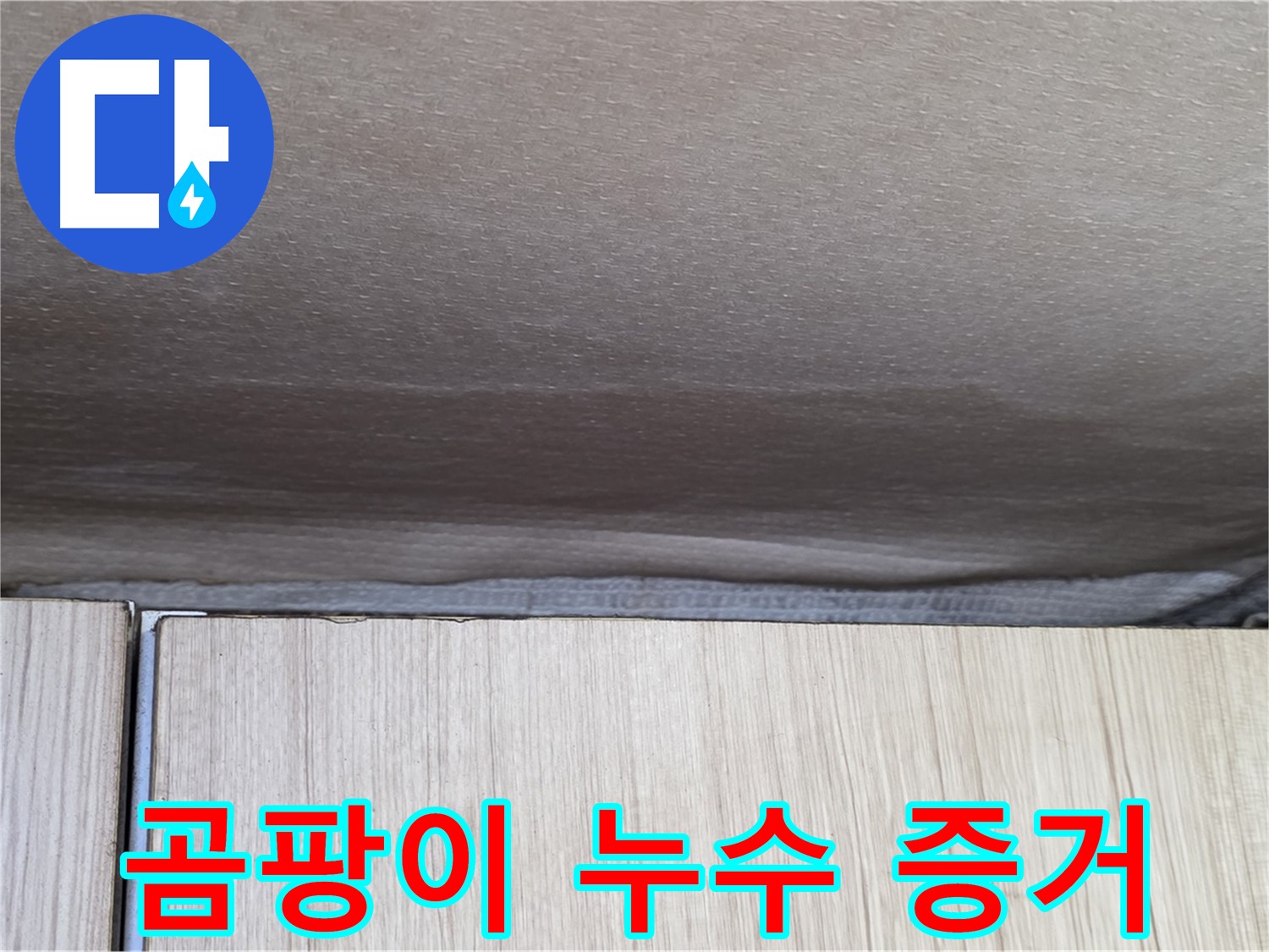 구갈동 203동 누수탐지 - 곰팡이, 숨겨진 누수의 증거