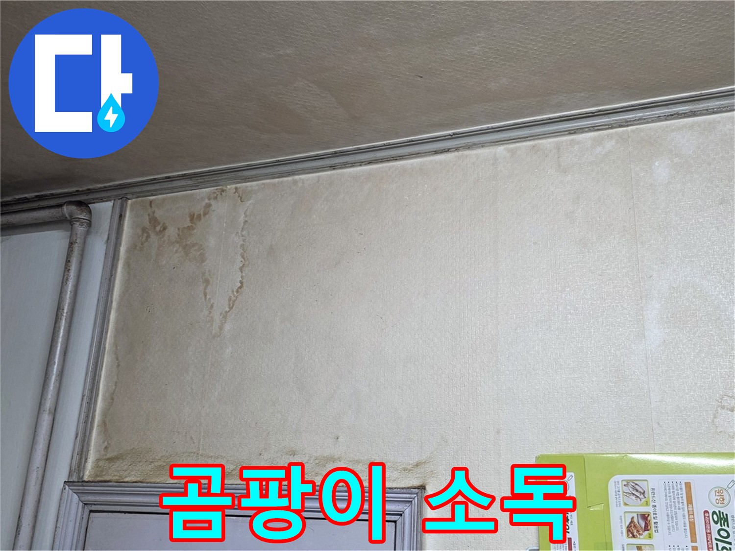구갈동 아파트 - 곰팡이 포자 확산 방지 소독