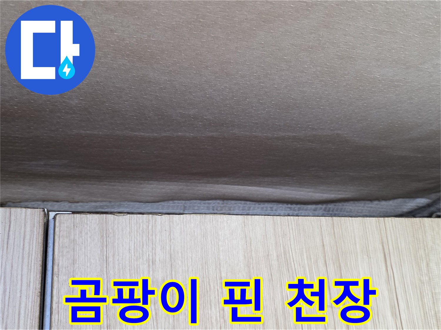 용인시 기흥구 구갈동 누수 - 곰팡이 핀 천장, 건강에 해로운 상황