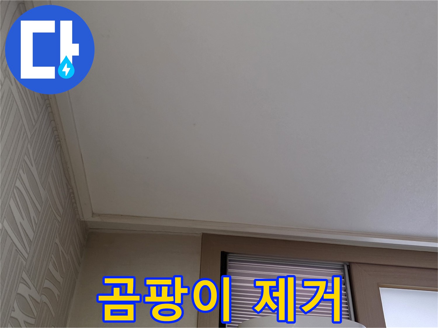상암동 505동 누수 - 곰팡이 제거 서비스 제공