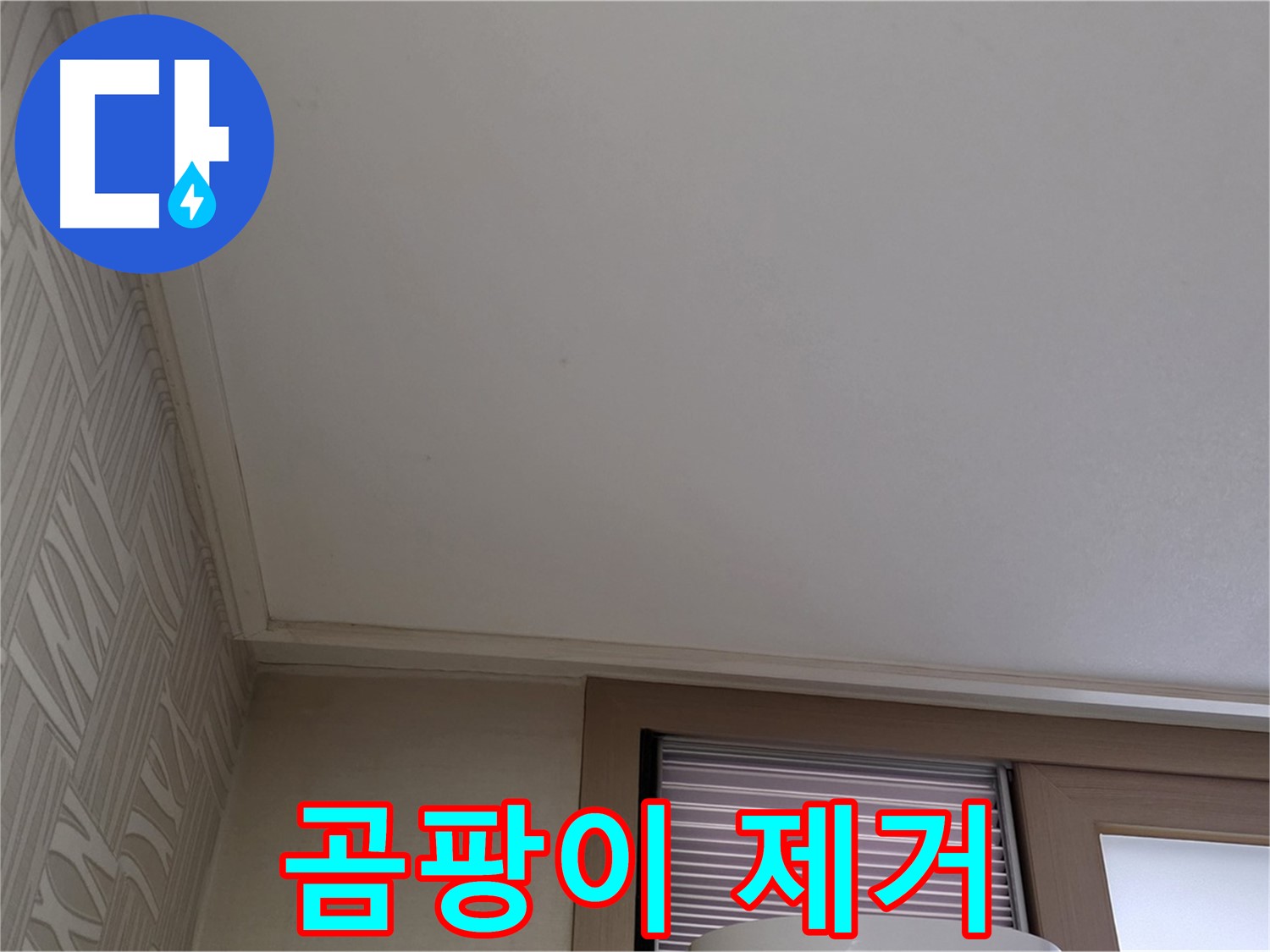 상암동 505동 누수 - 곰팡이 제거 서비스 제공