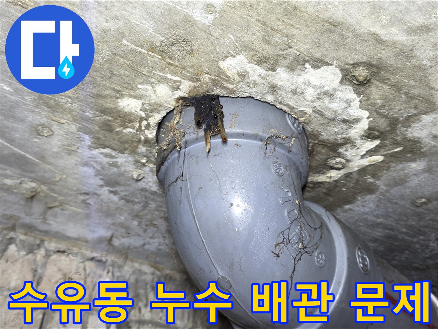 수유동 삼광빌라 배관 누수 - 천장 누수 원인 파악 및 해결 과정