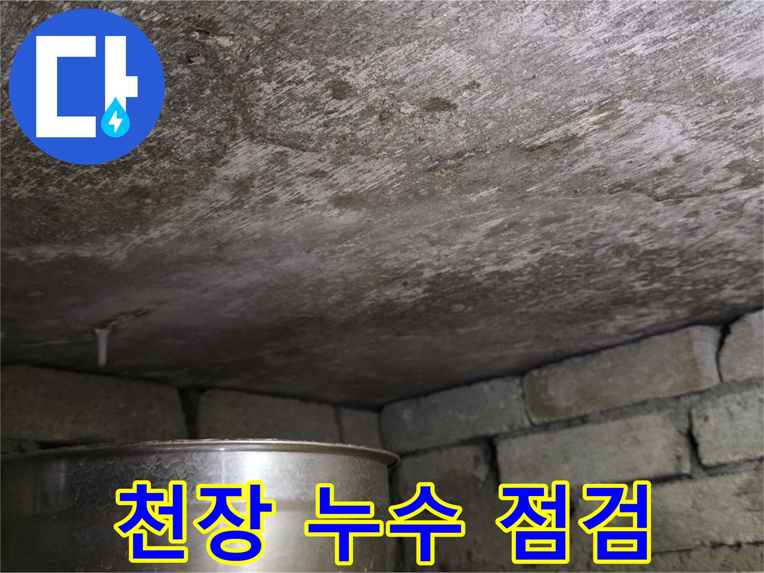 용인 처인구 원일아파트 천장 누수 - 누수 발생 위치와 주변 환경 꼼꼼히 점검