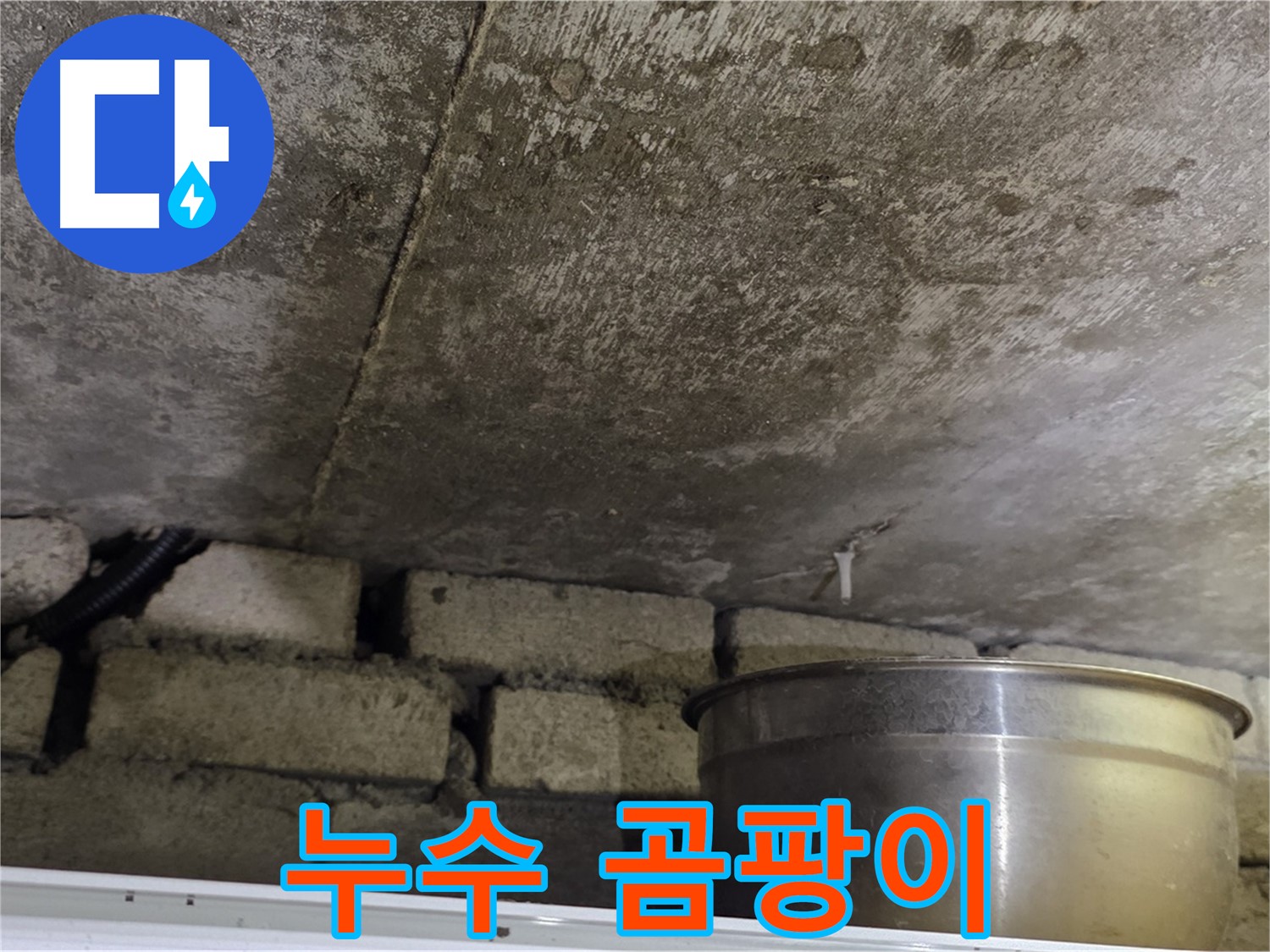 원일아파트 누수 현장 - 누수로 인해 발생한 곰팡이 모습.