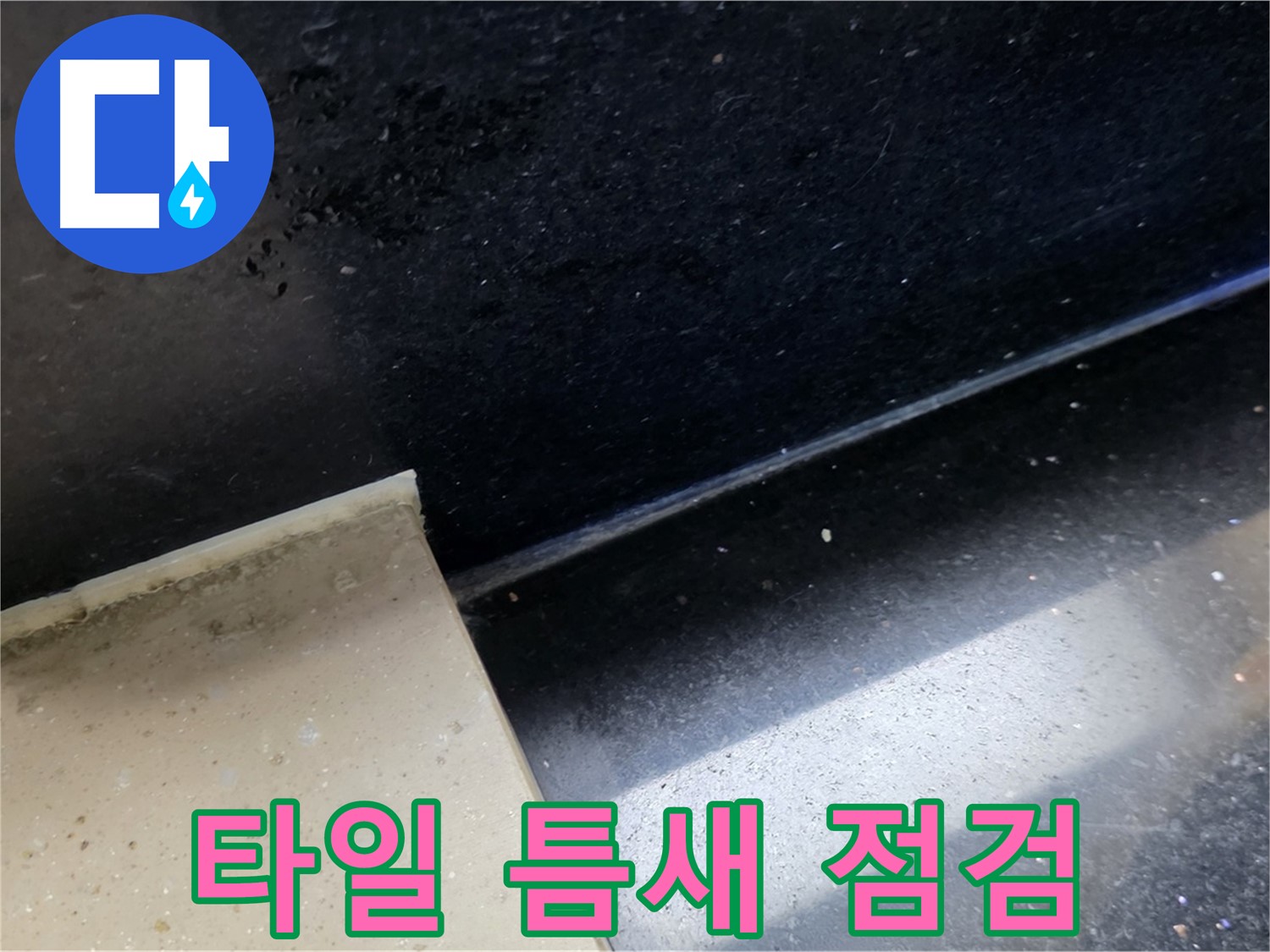 고양시 일산서구 하이파크 아파트 타일 틈새 점검 - 누수 탐지의 기본입니다.