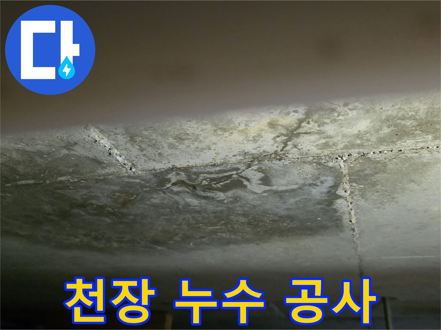 일산서구 탄현동 아파트 천장 누수 - 긴급 누수 공사 진행