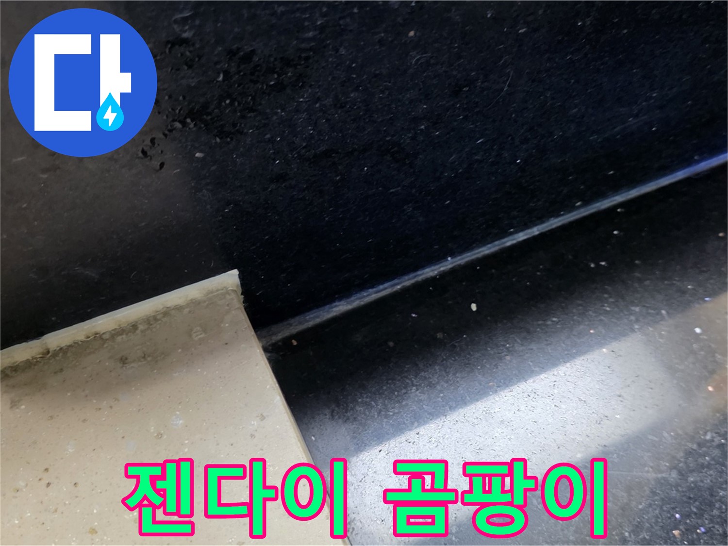일산서구 탄현동 하이파크 인근 욕실 젠다이 곰팡이 - 누수와 곰팡이의 상관관계를 보여줍니다.