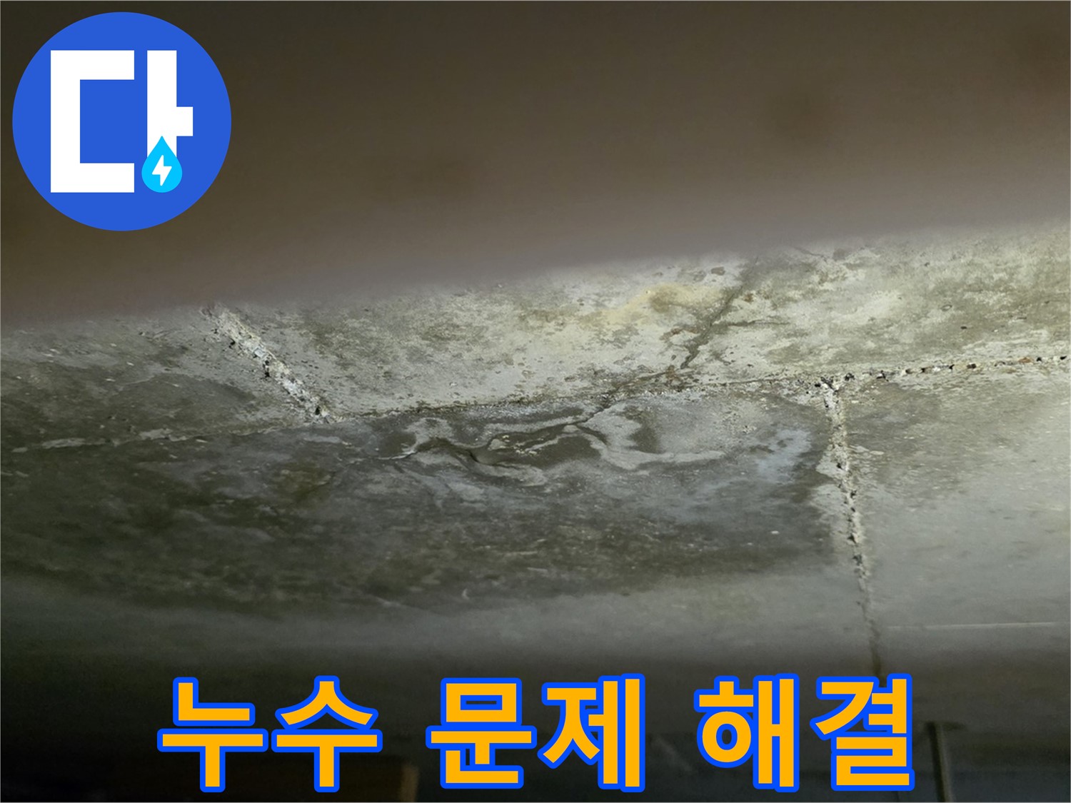 일산서구 하이파크 아파트 누수 문제 해결 - 누수 원인 찾기 전문가