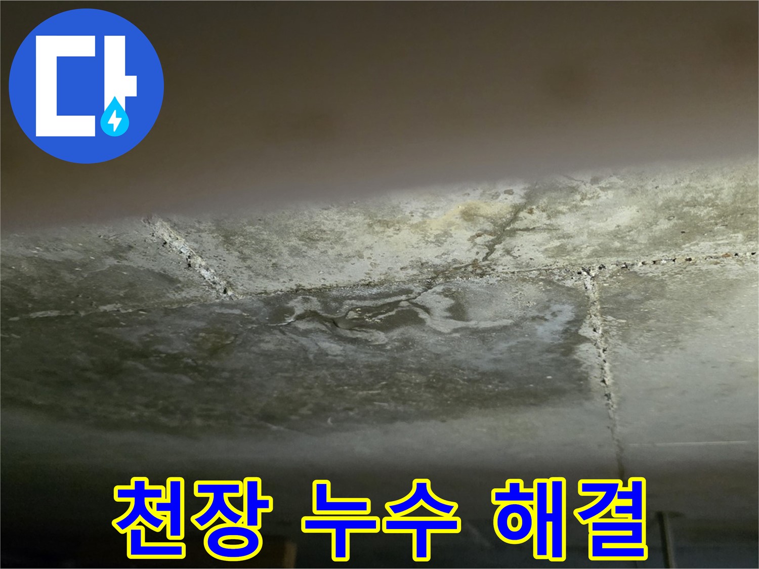 일산서구 하이파크 아파트 천장 누수 해결 - 누수 문제 해결 전문