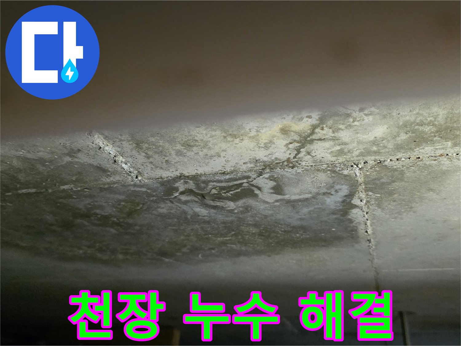 일산서구 하이파크 아파트 천장 누수 해결 - 투명하고 합리적인 견적
