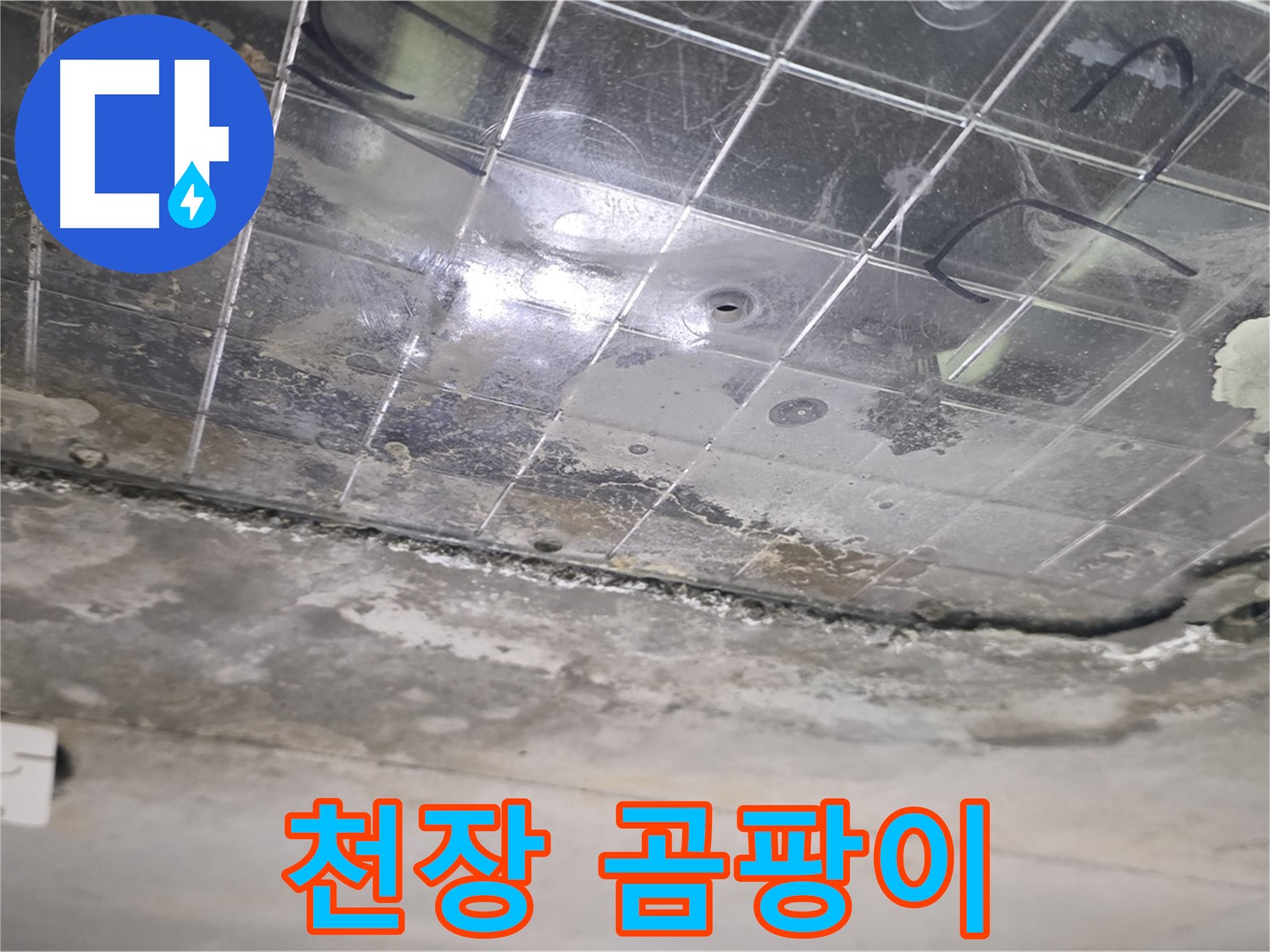 천장 곰팡이 - 누수로 인해 천장에 곰팡이가 번식하고 있습니다.