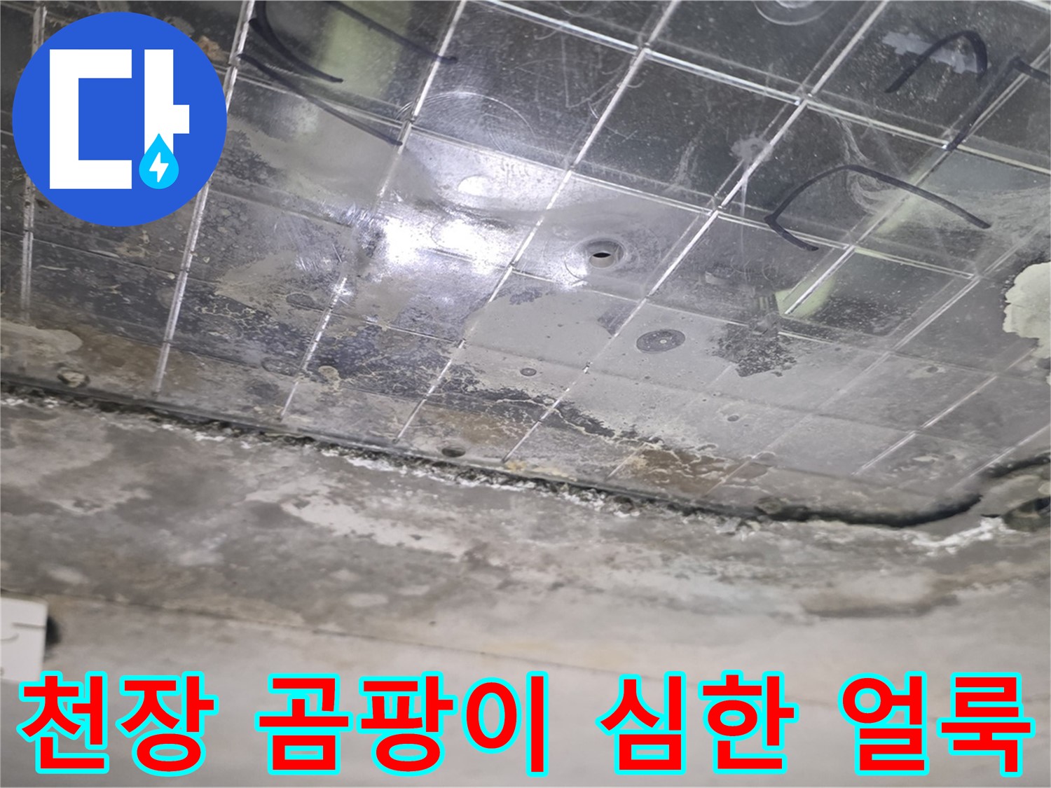 천장 곰팡이 심한 얼룩 - 누수로 인해 천장에 곰팡이가 심하게 생긴 얼룩이 보입니다.