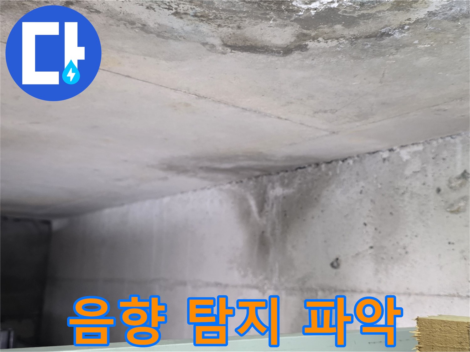 콘크리트 내부 음향 탐지 - 일산 누수, 누수 위치 정확히 파악