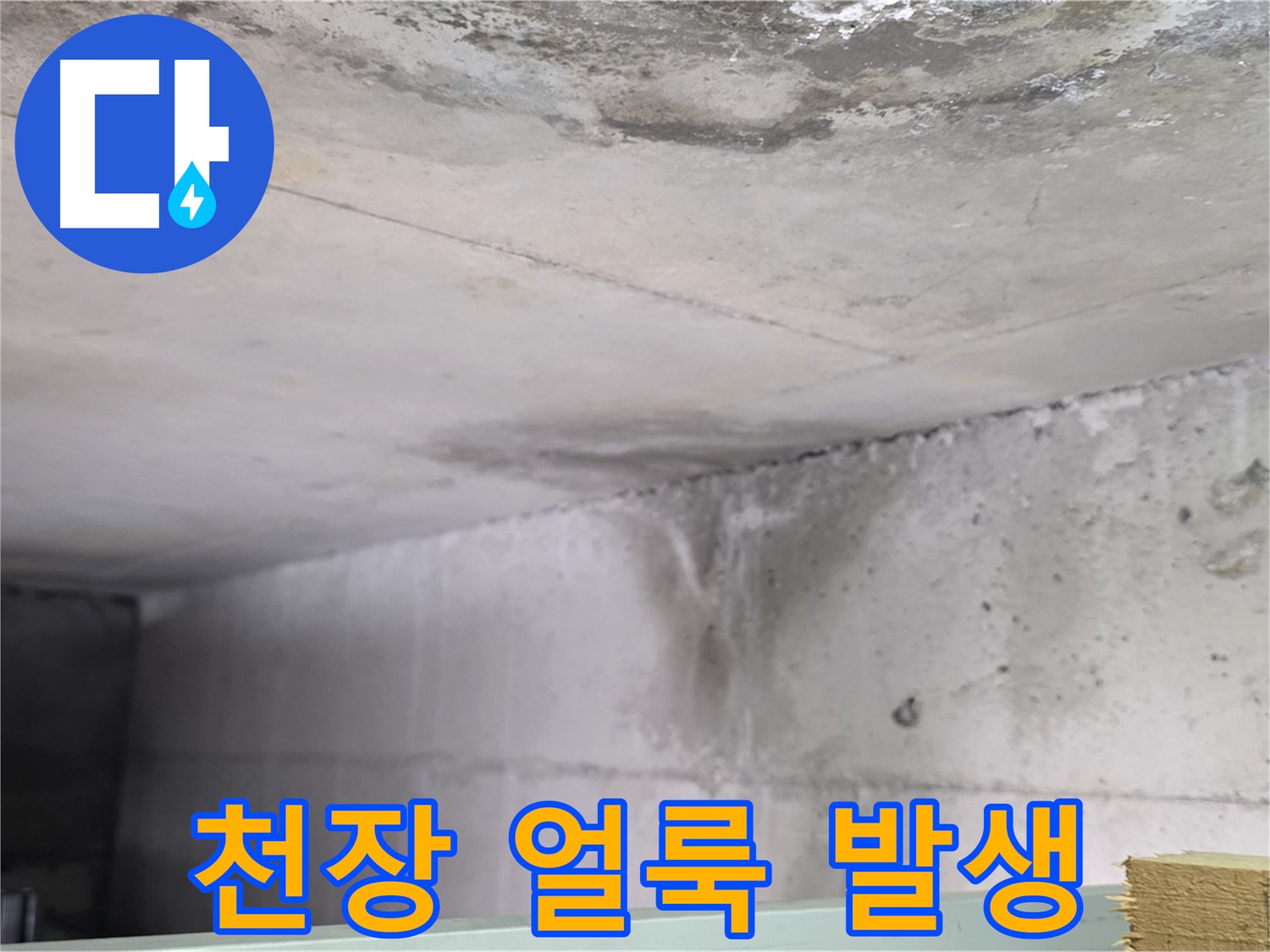 콘크리트 벽면 누수 - 일산서구 누수, 아랫집 천장 얼룩 발생