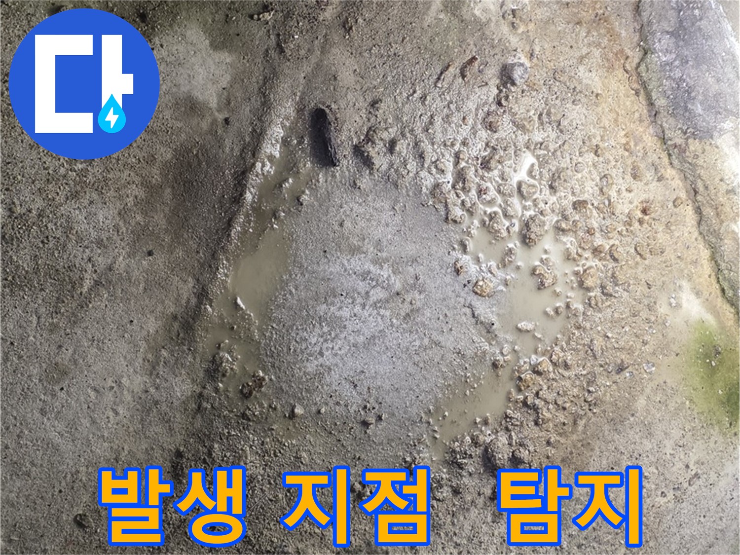 철원군 서면 와수리 누수 현장 - 누수 발생 지점을 신속하게 탐지하는 서비스 제공 모습입니다.