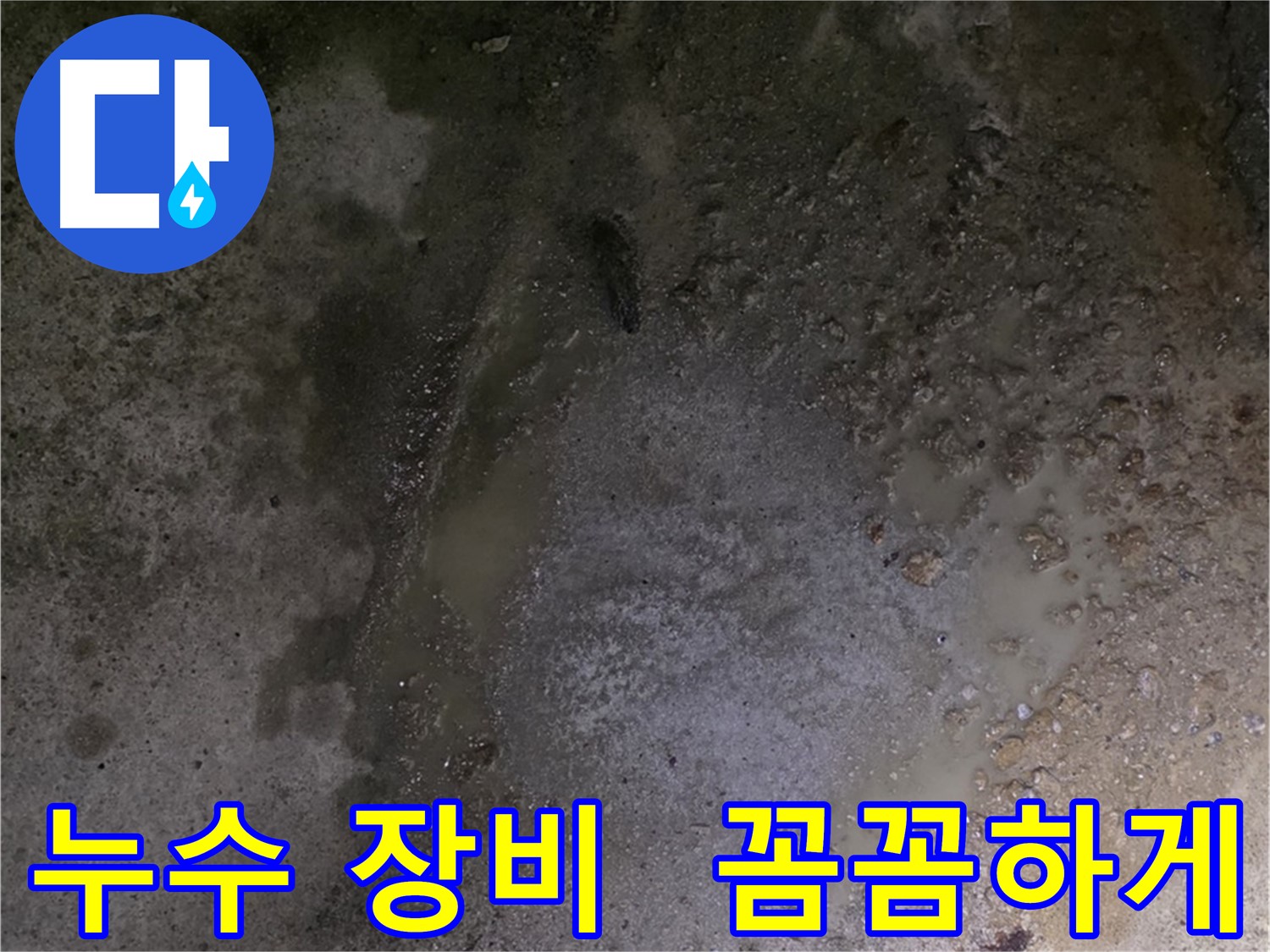 철원군 서면 와수리 누수 현장 - 누수 탐지 장비를 사용하여 꼼꼼하게 누수 지점을 찾고 있습니다.