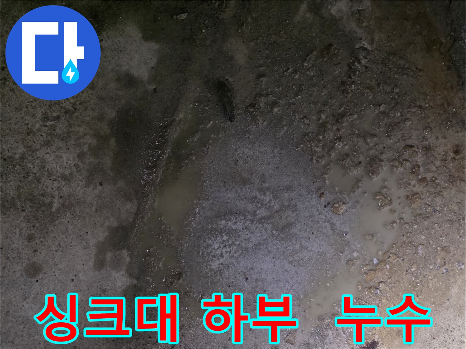철원군 서면 와수리 누수 현장 - 싱크대 하부에서 누수가 발생하여 주방 전체를 점검하고 있습니다.