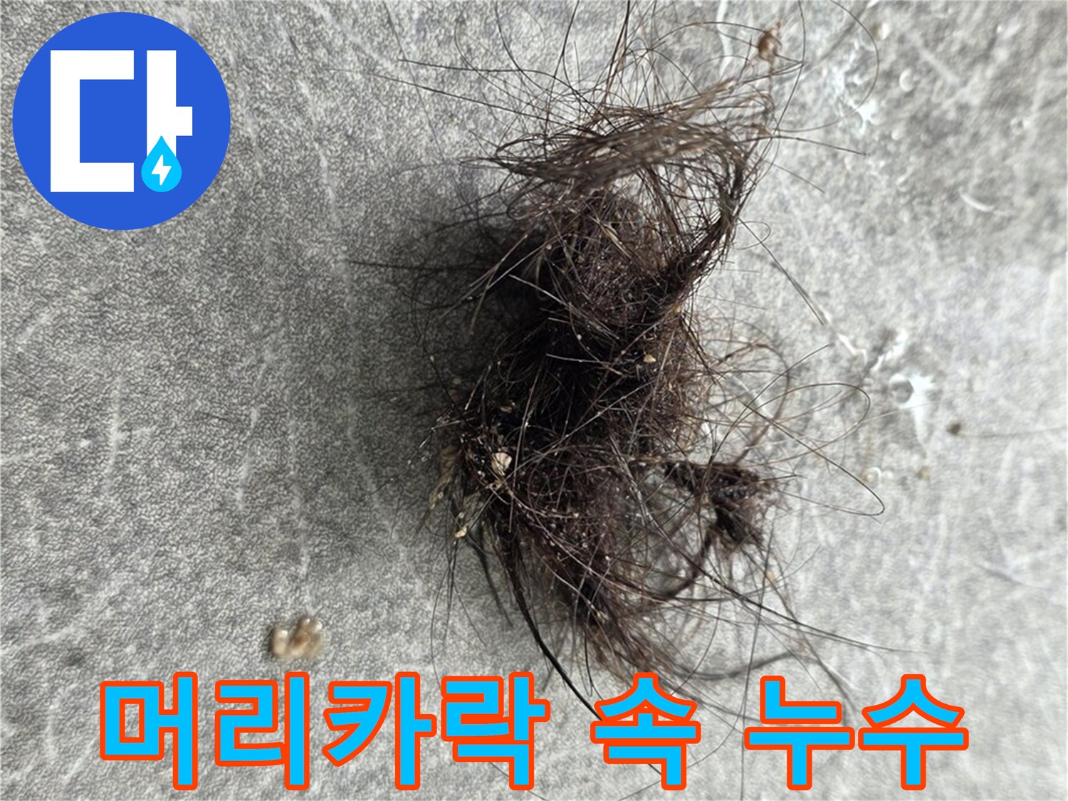 머리카락 속 누수 - 작은 머리카락 뭉치도 놓치지 않는 세심한 누수 점검.