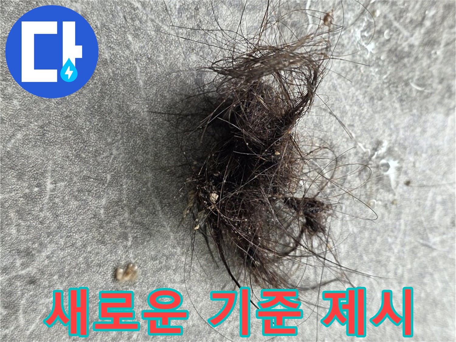 새로운 기준 제시 - 누수 탐지 및 해결의 새로운 기준을 제시합니다.