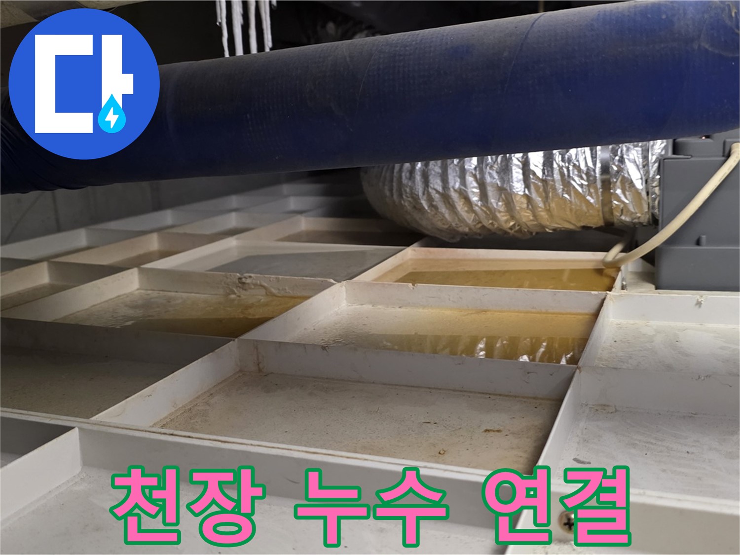 건물 하부 격자 누수 - 천장 누수 연결 가능성 - 철저한 조사