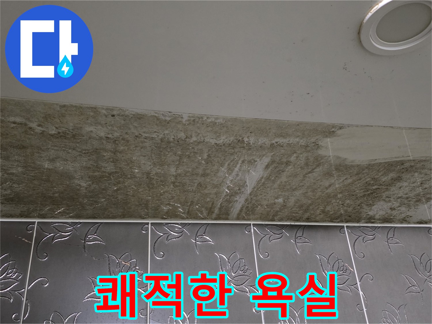 곰팡이 뒤덮인 화장실 천장 - 쾌적한 욕실 환경으로 개선