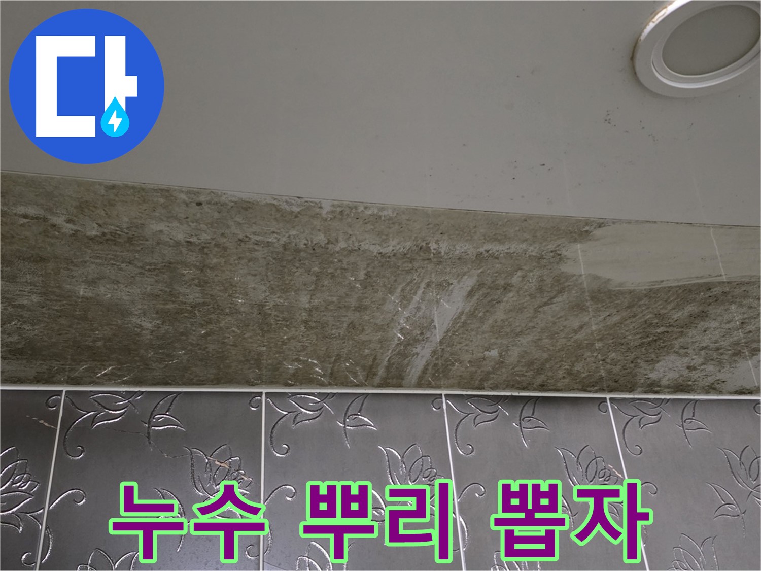 곰팡이 심각한 화장실 천장 - 누수 뿌리 뽑기 작전 개시