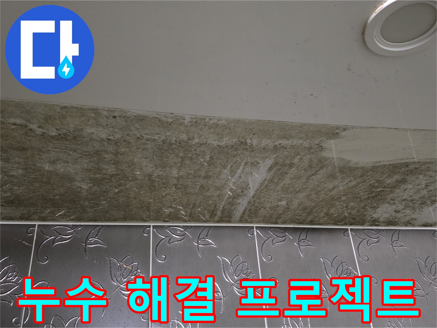 곰팡이 심한 화장실 천장 - 누수 해결 프로젝트 시작