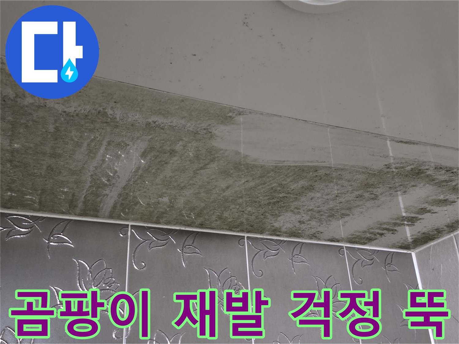 곰팡이 욕실 - 재발 걱정 없이 완벽하게 해결된 모습