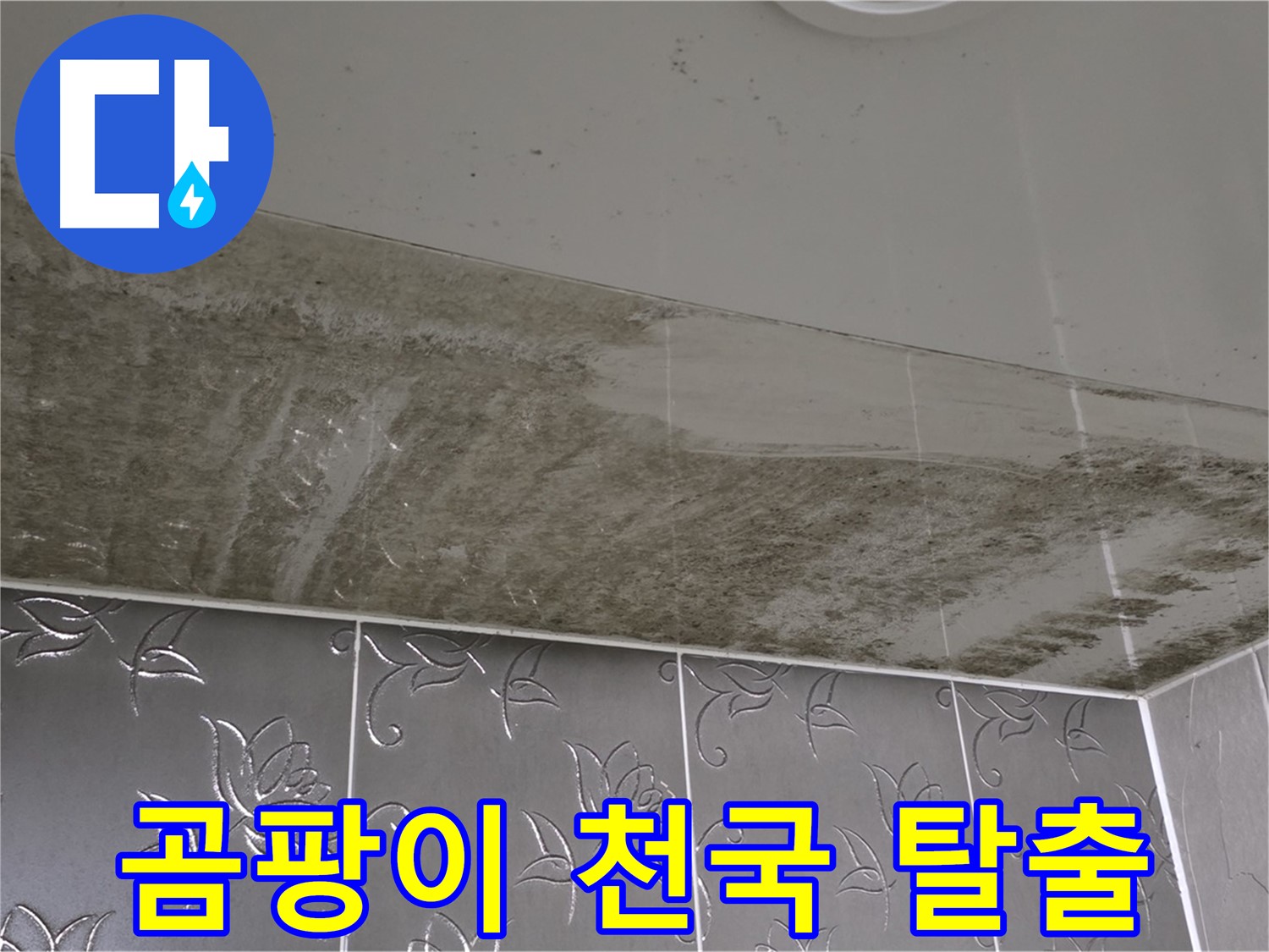 곰팡이 천국 욕실 - 누수 원인 해결 후 천상의 공간으로 변신!