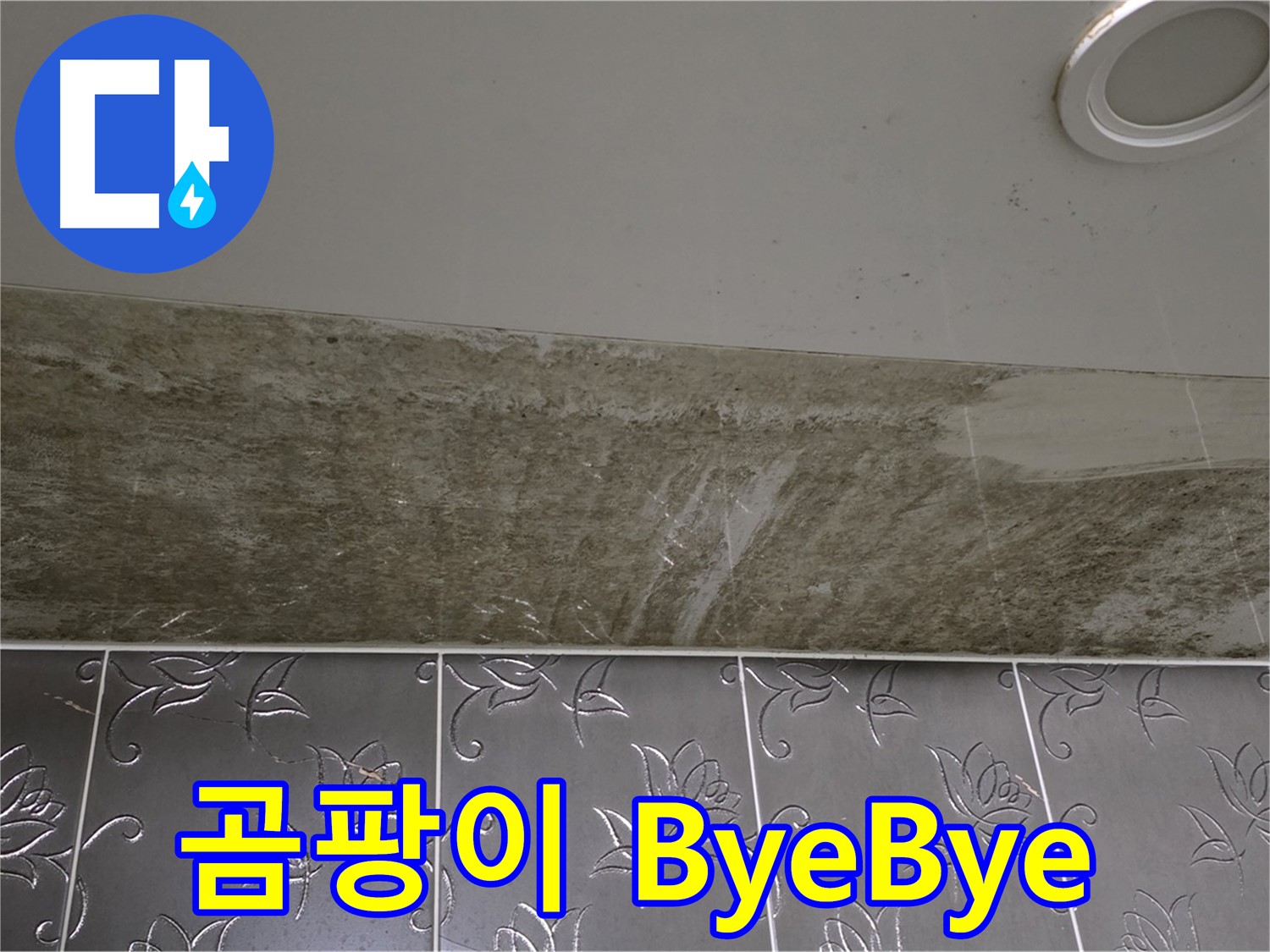 곰팡이 핀 화장실 천장 - 곰팡이 ByeBye, 뽀송뽀송 Hello