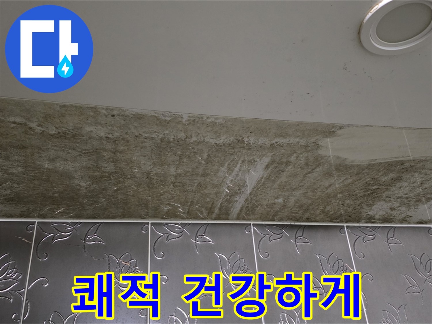 곰팡이 핀 화장실 천장 - 곰팡이 OUT, 쾌적하고 건강하게