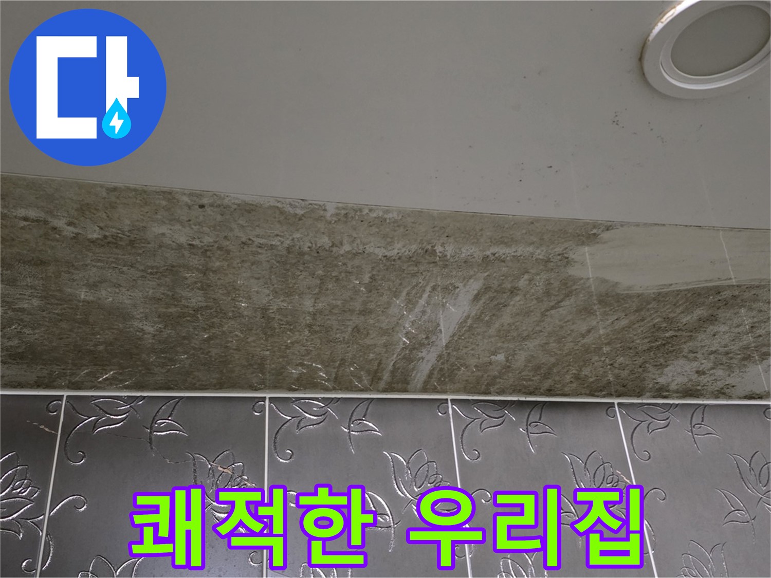 곰팡이 핀 화장실 천장 - 곰팡이 OUT, 쾌적한 우리집