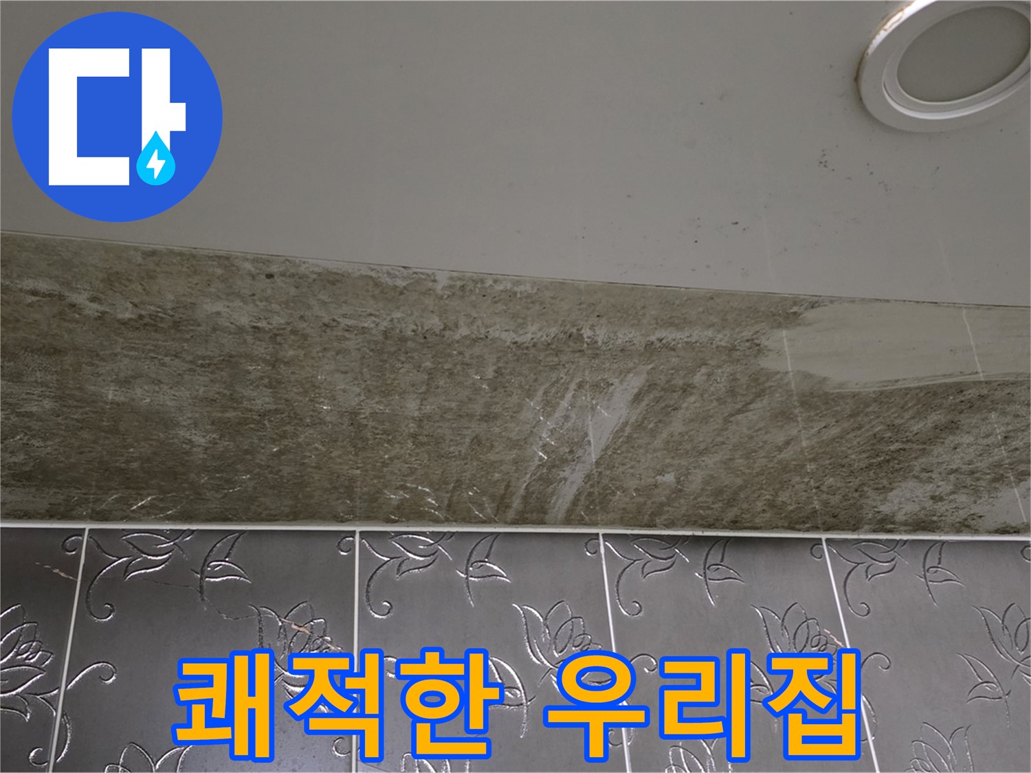 곰팡이 핀 화장실 천장 - 곰팡이 OUT, 쾌적한 우리집 완성