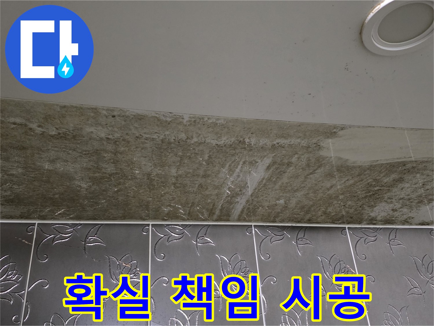 곰팡이 핀 화장실 천장 - 곰팡이 제로, 뽀송뽀송한 욕실! 확실하게 책임지고 시공해 드립니다!