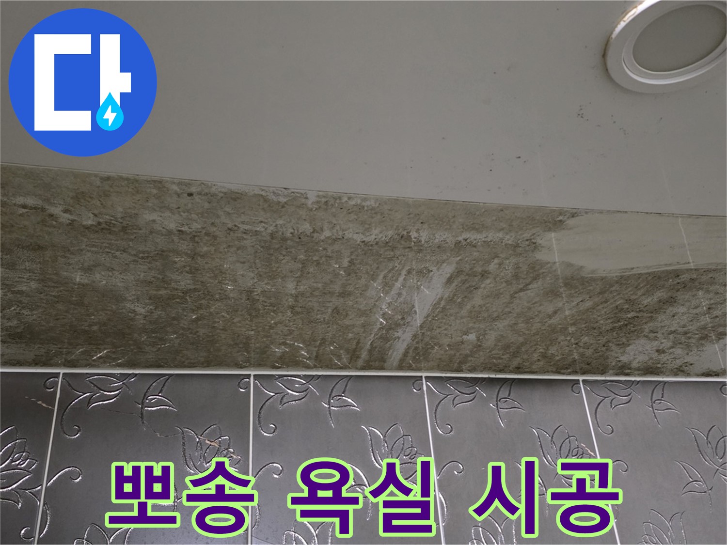 곰팡이 핀 화장실 천장 - 곰팡이 제로, 뽀송뽀송한 욕실! 확실하게 책임지고 시공해 드립니다!