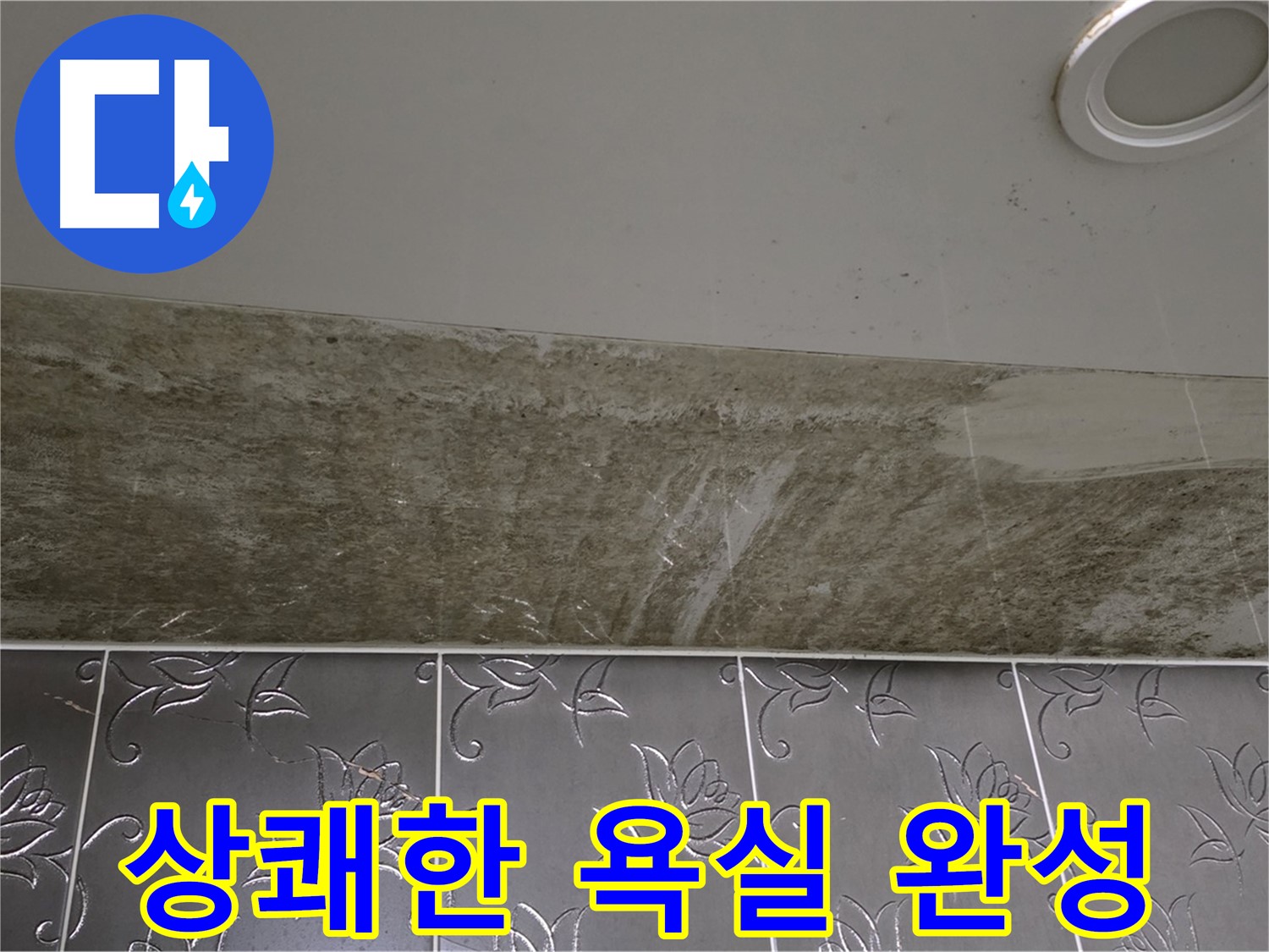 곰팡이 핀 화장실 천장 - 곰팡이 제로, 상쾌한 욕실 완성